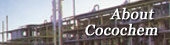About Cocochem